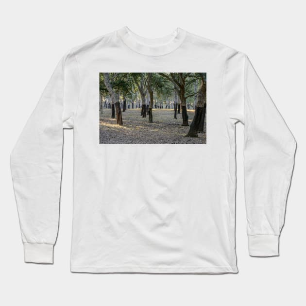 Canberra Cork Plantation 01 Long Sleeve T-Shirt by fotoWerner